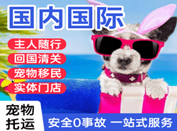 烟台机场物流国际宠物托运 【国